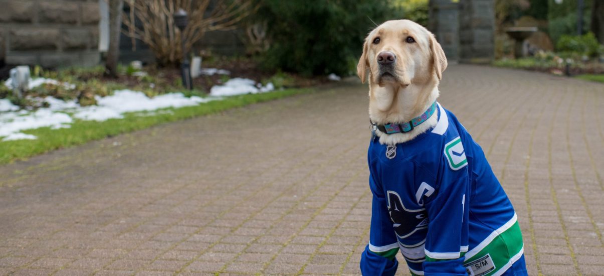 Canuck Place therapy dog, Gaia