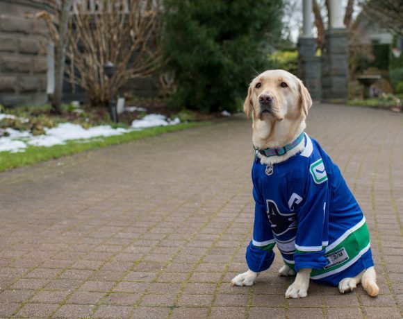 Canuck Place therapy dog, Gaia