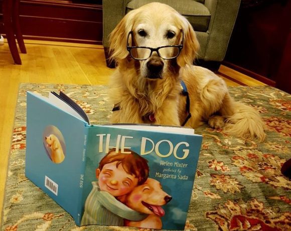 The Dog Canuck Place